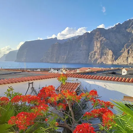 Buenavista Gigantes Marina With Private Bathroom *